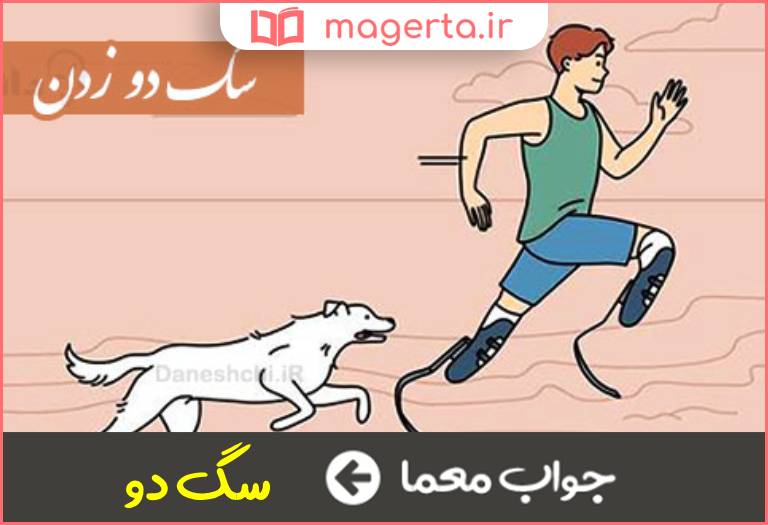 جواب معما تکاپوی بسیار و بی حاصل در جدول