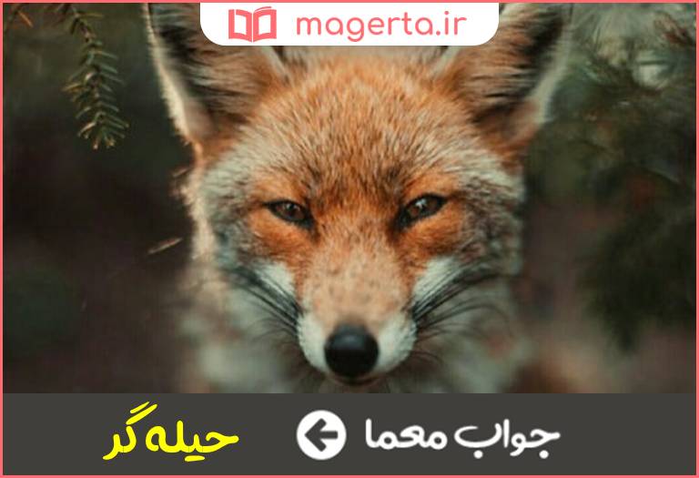 جواب معما دغلکار در جدول