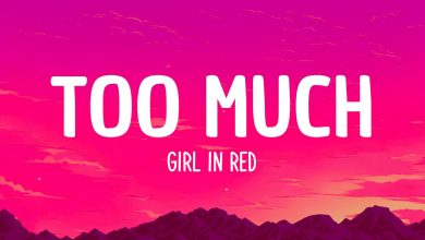 متن و ترجمه آهنگ Too Much از Girl In Red