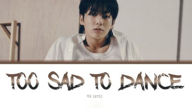 ترجمه آهنگ Too Sad to Dance از Jung Kook