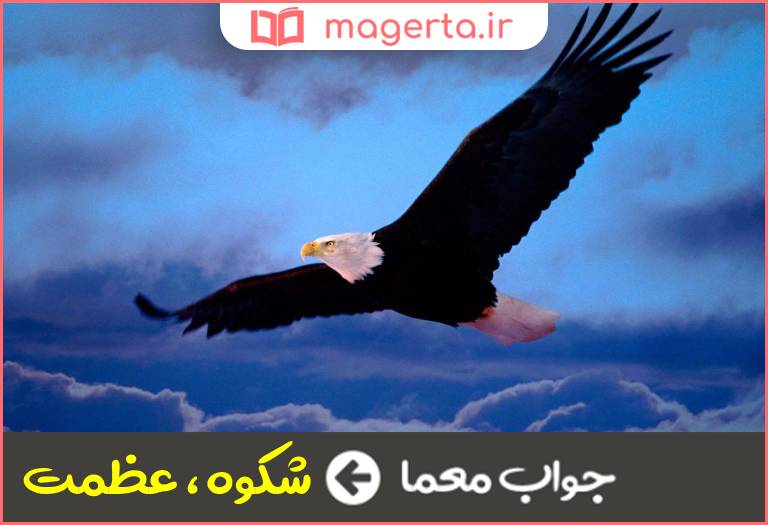 جواب معما کوکبه و جلال در جدول