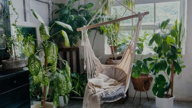 گیاهان آپارتمانی آرامش بخش