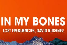 متن و ترجمه آهنگ In My Bones از Lost Frequencies و David Kushner