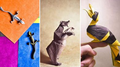 اوریگامی و دنیای حیوانات: خلاقیت بی نظیر یک هنرمند اسپانیایی