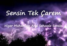متن و ترجمه آهنگ Sensin Tek Çarem از Nigar Muharrem و Şehzade