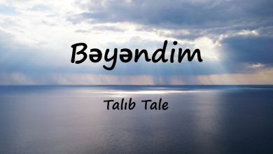 متن و ترجمه آهنگ Bəyəndim از Talıb Tale