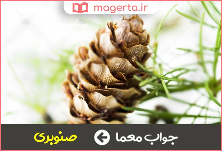 جواب معما مخروطی در جدول