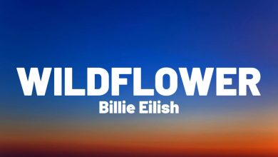 متن و ترجمه آهنگ WILDFLOWER از Billie Eilish