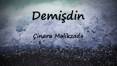 متن و ترجمه آهنگ Demişdin از Çinarə Məlikzadə