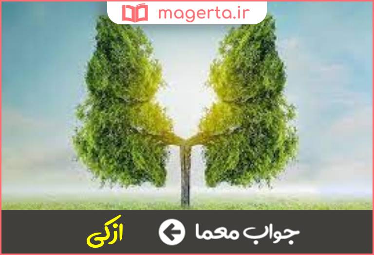 جواب معما پاک تر در جدول