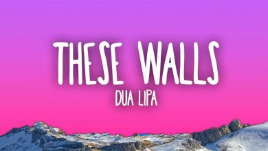 متن و ترجمه آهنگ These Walls از Dua Lipa