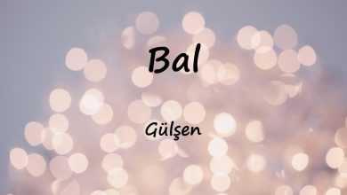 متن و ترجمه آهنگ Bal از Gülşen