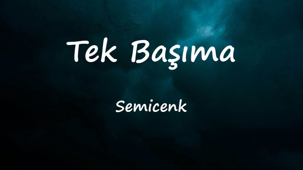 متن و ترجمه آهنگ Tek Başıma از Semicenk