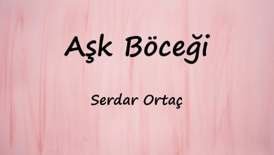 متن و ترجمه آهنگ Aşk Böceği از Serdar Ortaç