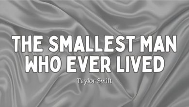متن و ترجمه آهنگ The Smallest Man Who Ever Lived از Taylor Swift