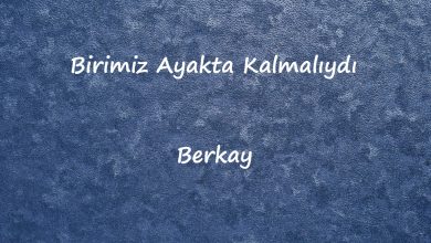 متن و ترجمه آهنگ Birimiz Ayakta Kalmalıydı از Berkay