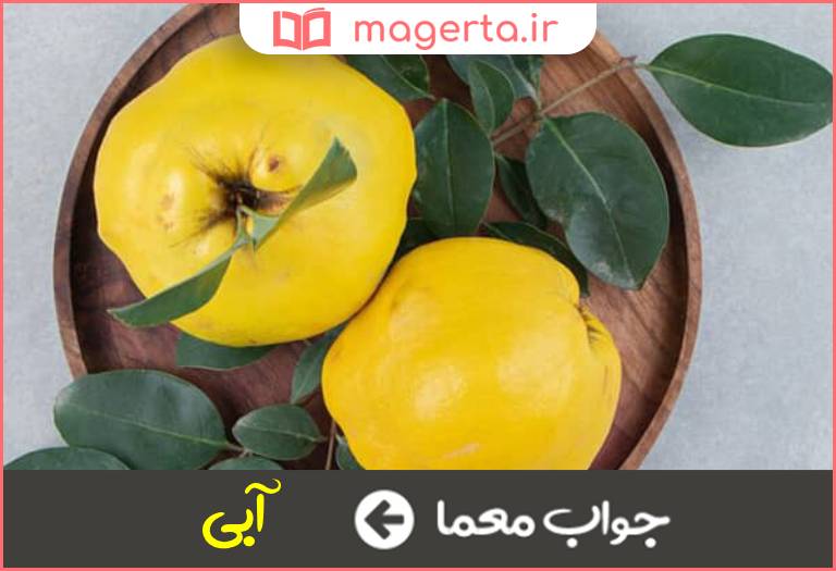 جواب معما میوه به در جدول