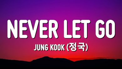 متن و ترجمه آهنگ Never Let Go از Jung Kook