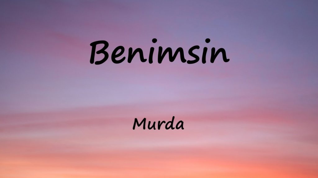 متن و ترجمه آهنگ Benimsin از Murda