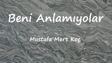 متن و ترجمه آهنگ Beni Anlamıyolar از Mustafa Mert Koç