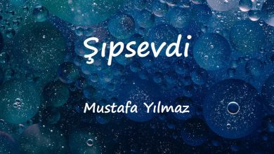 متن و ترجمه آهنگ Şıpsevdi از Mustafa Yılmaz