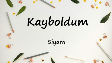 متن و ترجمه آهنگ Kayboldum از Siyam