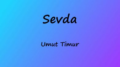 متن و ترجمه آهنگ Sevda از Umut Timur