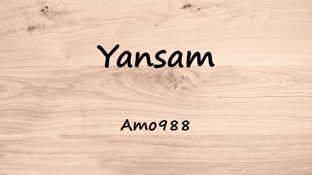 متن و ترجمه آهنگ Yansam از Amo988