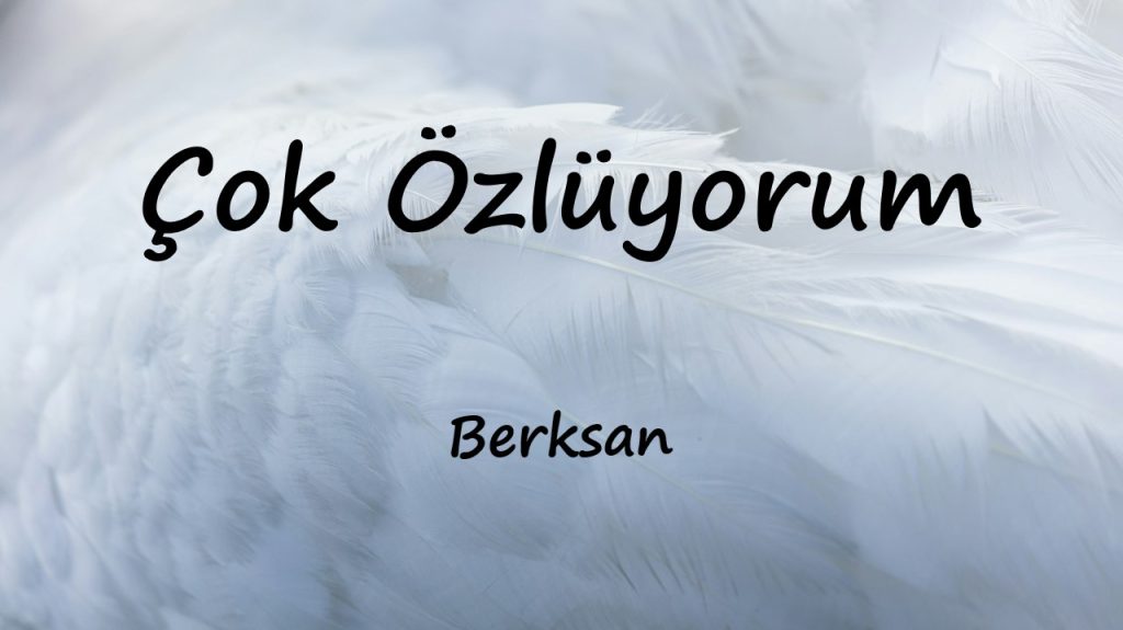 متن و ترجمه آهنگ Çok Özlüyorum از Berksan