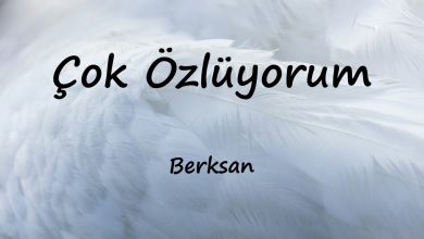 متن و ترجمه آهنگ Çok Özlüyorum از Berksan