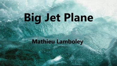 متن و ترجمه آهنگ Big Jet Plane از Mathieu Lamboley