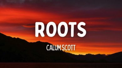 متن و ترجمه آهنگ Roots از Calum Scott