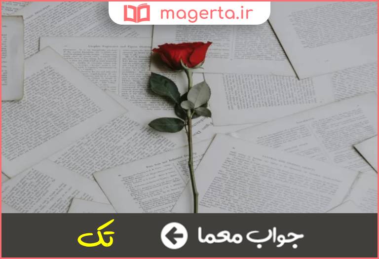 جواب معما بی یار و همدم در جدول