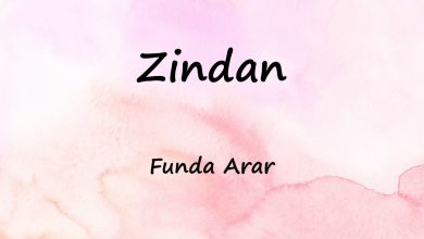 متن و ترجمه آهنگ Zindan از Funda Arar