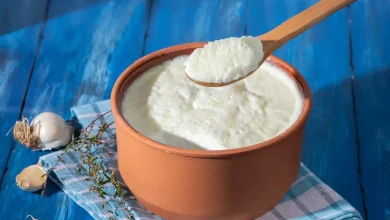 چگونه در ظرف سفالی ماست درست کنیم