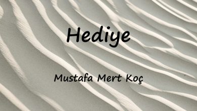 متن و ترجمه آهنگ Hediye از Mustafa Mert Koç