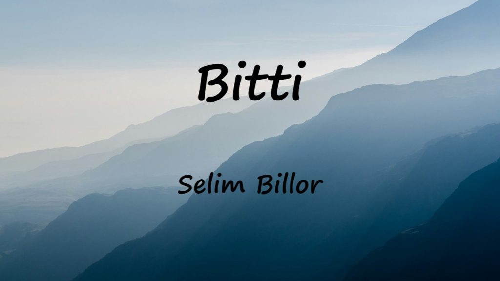 متن و ترجمه آهنگ Bitti از Selim Billor