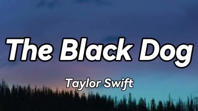 متن و ترجمه آهنگ The Black Dog از Taylor Swift
