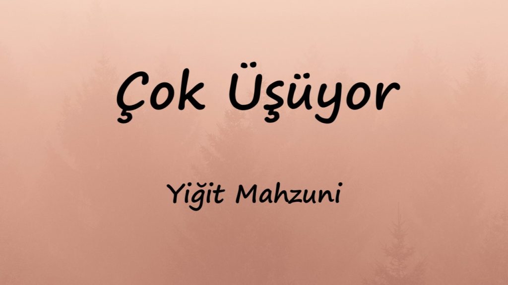 متن و ترجمه آهنگ Çok Üşüyor از Yiğit Mahzuni