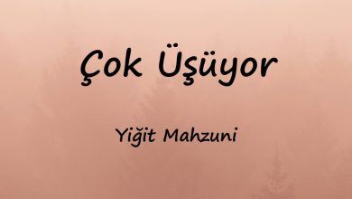 متن و ترجمه آهنگ Çok Üşüyor از Yiğit Mahzuni