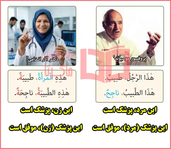 ترجمه و معنی متن درس چهارم عربی هفتم صفحه ۳۱ 