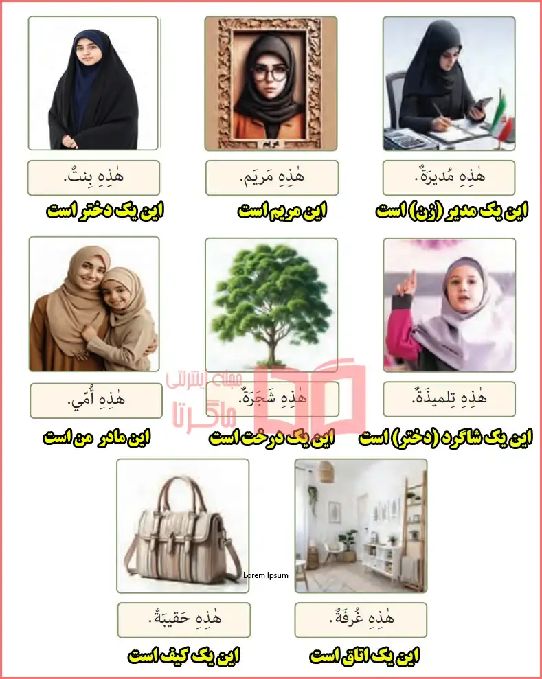 پاسخ تمرین چهارم صفحه ۱۹ و ۲۰ درس دوم عربی هفتم