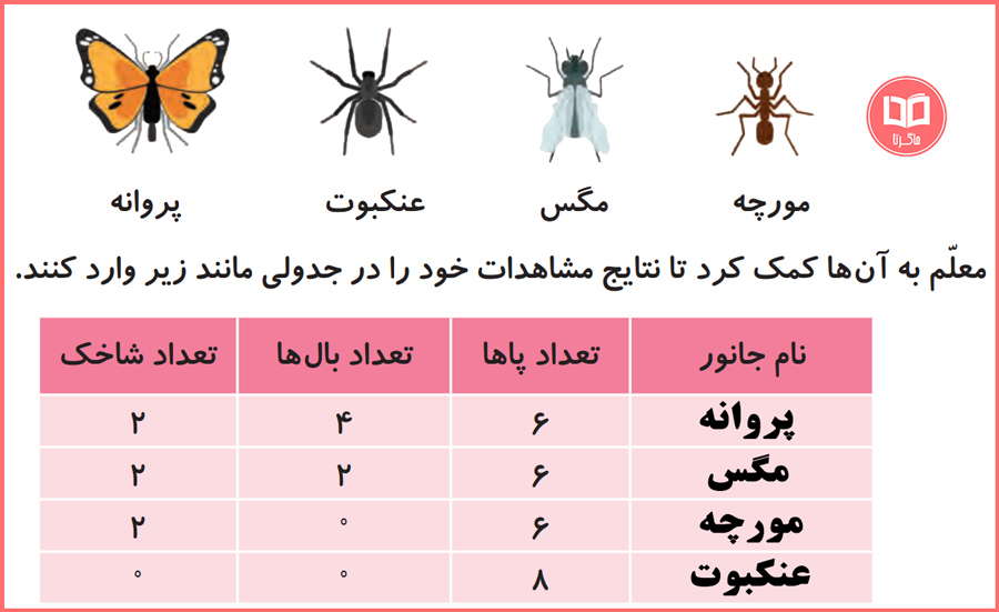 پاسخ صفحه 8 علوم سوم ابتدایی