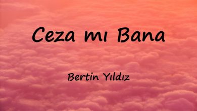 متن و ترجمه آهنگ Ceza mı Bana از Bertin Yıldız