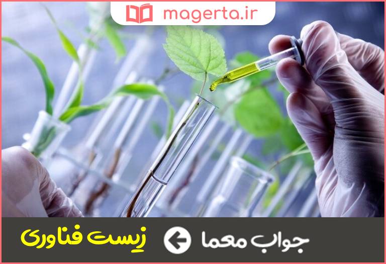 جواب معما بیوتکنولوژی در جدول