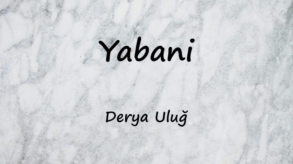 متن و ترجمه آهنگ Yabani از Derya Uluğ