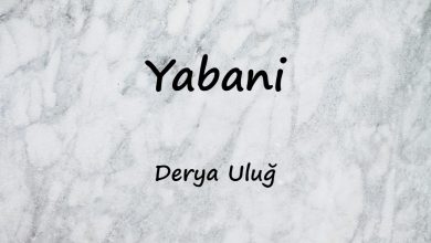 متن و ترجمه آهنگ Yabani از Derya Uluğ