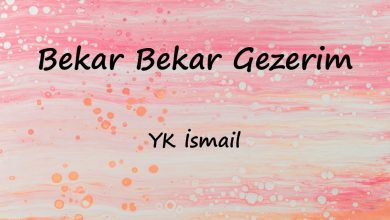 متن و ترجمه آهنگ Bekar Bekar Gezerim از İsmail YK