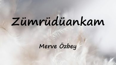 متن و ترجمه آهنگ Zümrüdüankam از Merve Özbey