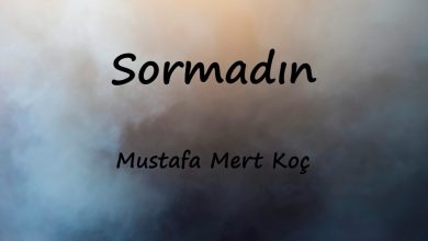 متن و ترجمه آهنگ Sormadın از Mustafa Mert Koç